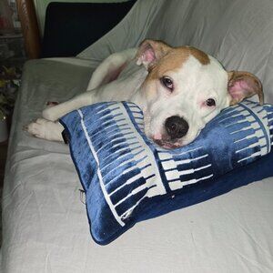 Meet your Posher, James